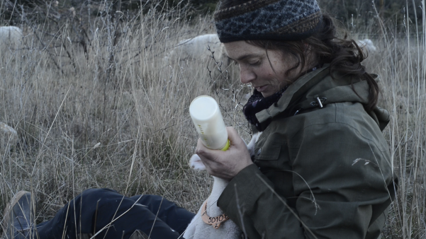 documentaire-film-bergère-bien-élever-bien-tuer-bien-manger-abattoir-viande-éco-féminisme-local-relation-humain-animal-cévennes-mois-du-doc-gaia-L214-circuit-court-elsa-maury-vinciane-despret
