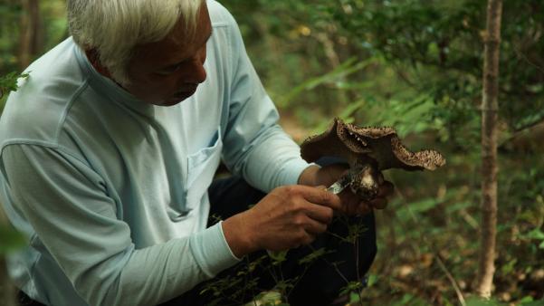 film-documentaire-centrale-nucleaire-fukushima-tchernobyl-epr-gilles-laurent-incident-nucleaire-radioactivité-radiation-tsunami